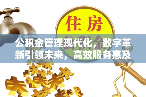 兴宁公积金管理现代化，数字革新引领未来，高效服务惠及民生