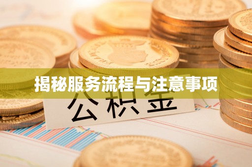 兴宁揭秘服务流程与注意事项
