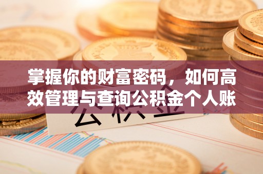 兴宁掌握你的财富密码，如何高效管理与查询公积金个人账户信息